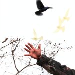 Poetry Book by Blair Travel and Place Themes 128 Page Kindle Edition-0