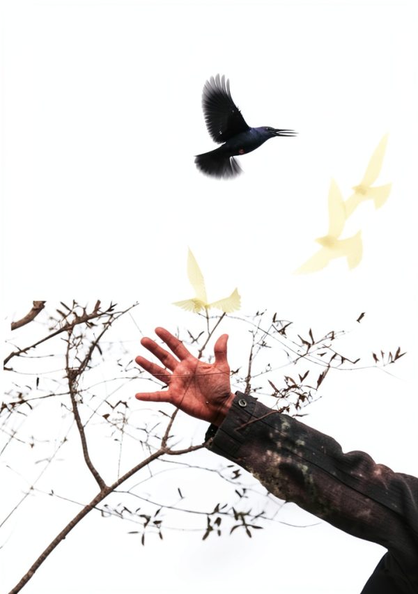 Poetry Book by Blair Travel and Place Themes 128 Page Kindle Edition-0